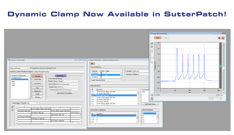 dynamic_clamp