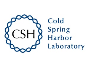 CSH