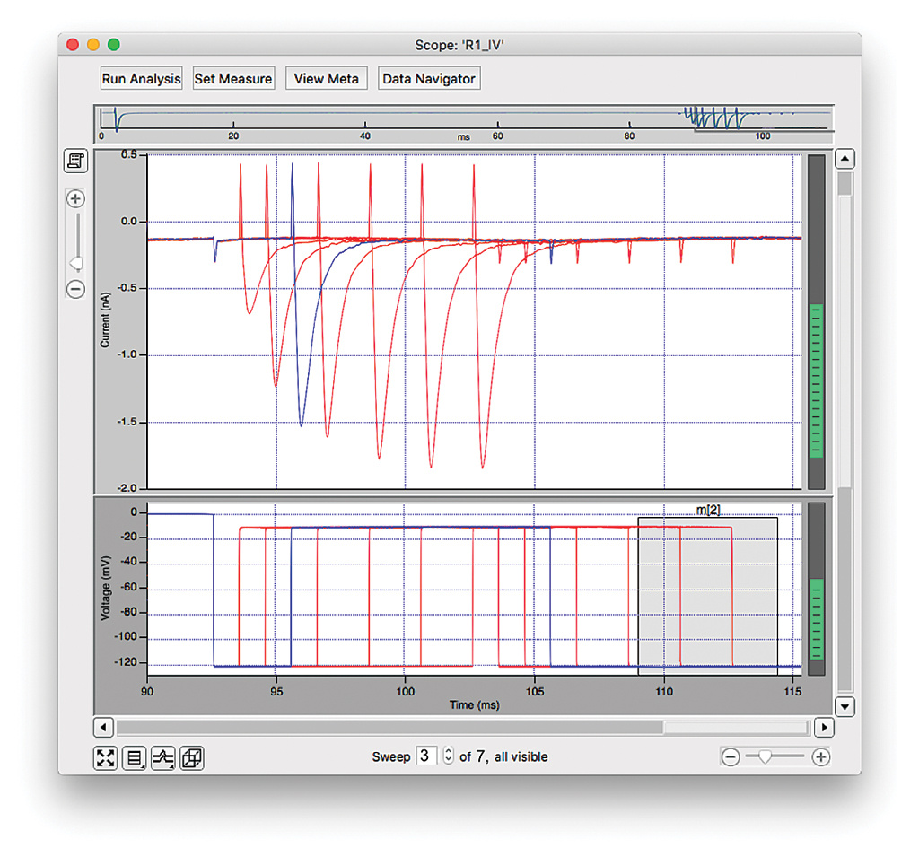 reanalysis_window